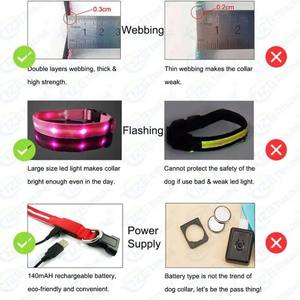 Venta al por mayor LED Pet <span class=keywords><strong>Collar</strong></span> USB recargable Light-up Strip Ajustable Reflective <span class=keywords><strong>Flashing</strong></span> Glow Dark Anti-lost Luminous <span class=keywords><strong>Dog</strong></span> <span class=keywords><strong>Collar</strong></span> - Product Image 4