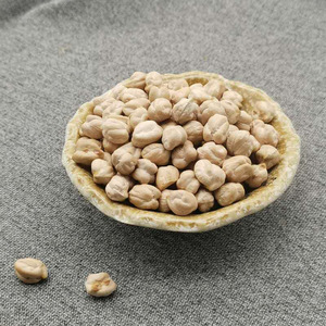 Non Gmo 100% Natural <strong>White</strong> <strong>Chickpeas</strong> 8 mm Supplier Origin China <strong>Chickpea</strong> Beans - Product Image 6
