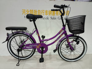 Vélo de ville pour adultes de haute qualité, style classique, 20 pouces, frein à disque, vitesse unique, vente en gros d'usine - Product Image 2