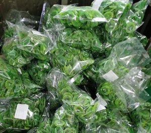 Fornitore Diretto di Fabbrica Cinese, Vendita all'Ingrosso di Kiwi Essiccato Sfuso, Popolare in Uzbekistan, Azerbaigian e Russia - Product Image 4