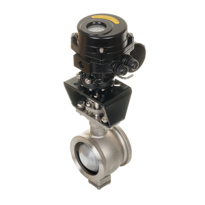 Heq2 150nm Clase Ip67 con Válvula de Bola Tipo V Cf8 304 316 Dn80 3 Pulgadas - Product Image 3
