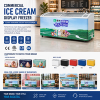 Congelador Comercial para Helados X-MING con Puerta Corredera de Vidrio, Certificado ETL y NSF para Cadenas de Supermercados