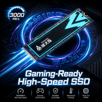 قرص صلب داخلي للألعاب M.2 NVMe SSD 2280 PCIe Gen3 بسرعة 3000 ميجابايت/ثانية، ترقية للقرص الصلب، استهلاك منخفض للطاقة، مناسب لأجهزة الكمبيوتر المحمولة