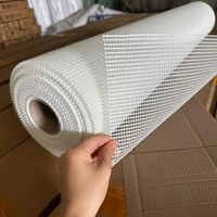 Toile en fibre de verre résistante aux alcalis, filet anti-fissures pour l'isolation thermique des murs extérieurs en ciment et plâtre, construction