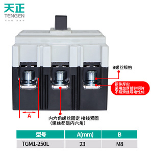 Interruptor de Circuito de Caja Moldeada Tengen TGM1-250L 250A 3P, Térmico Magnético, 415V 50Hz - Product Image 3