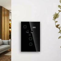 Bingoelec Tuya Wifi US/Thaïlande Standard 16A 1/2 Gang Home Interrupteur mural et prise avec port USB