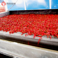 Hoge Efficiëntie Rode Chili Peper Droogapparatuur Continue Riem Chili Mesh Band Droger Machine Voor Fruit En Groenten