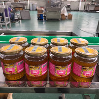 Mesin Pengisi Otomatis Elektrik PLC Presisi Tinggi untuk Wadah Plastik, Botol, Kaca, Logam, Saus Ketchup, Pasta, dan Selai