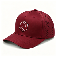 Gorra de Béisbol Premium de 5 Paneles, Transpirable e Impermeable, de Nailon con Orificios Cortados a Láser, Logotipo Personalizado, Estilo Urbano, Imagen Bordada en 3D, Venta al Por Mayor