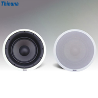 Thinuna MS-10SUB portable OEM usine haut-parleur de plafond Home cinéma système de sonorisation caisson de basses avec woofer basse famille musique de fond