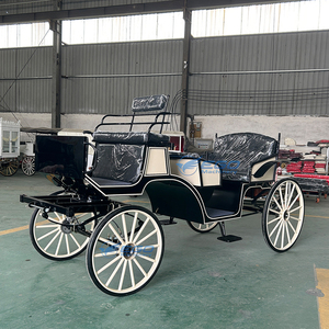 Fournisseur Direct Usine – Carrosse Électrique de Luxe Européen en Acier à 4 Roues, Taille Personnalisable, Haute Qualité pour Visites Extérieures - Product Image 2