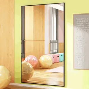 Aluminum Framed Mirror Rectangle Floor Dressing Gold Large Mirror Full Length Mirror Wall