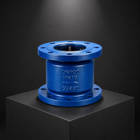 Clapet anti-retour silencieux à bride en fonte ductile PN16, à ressort, à levage vertical, pour eau, revêtement époxy bleu