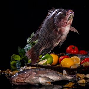 <span class=keywords><strong>ปลา</strong></span>ทิลาเปียสดแช่แข็งขายตรงจากโรงงาน - Product Image 5