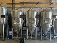 Équipement de fermentation 500L pour le brassage et la fermentation de la bière