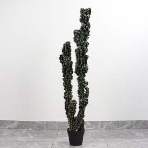 <span class=keywords><strong>ต้น</strong></span>ไม้ประดิษฐ์จำลองกระบองเพชรสำหรับตกแต่งภูมิทัศน์บอนไซในธีมทะเลทรายเขตร้อน - Product Image 6