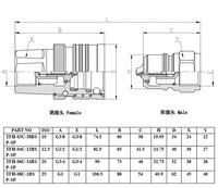 JD Offre Spéciale 3/8 "TFH Type fermé Accouplements rapides hydrauliques Accouplements de déconnexion à dégagement rapide hydrauliques