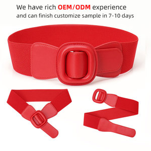 Phụ Nữ Đàn Hồi Eo Con Dấu Đơn Giản Cao Cấp Trang Trí Xuống Áo Eo Châu Âu Và Hoa Kỳ Thời Trang Túi Khóa Vành Đai - Product Image 5