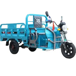 Tricycle Electric Truck Load Wang New Household Electric Battery Car