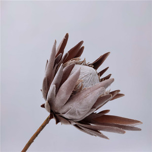 <span class=keywords><strong>Protea</strong></span> Cynaroides ดอกไม้ราชาโพรโทไรด์,อุปกรณ์ตกแต่งงานแต่งงานคริสต์มาส - Product Image 3