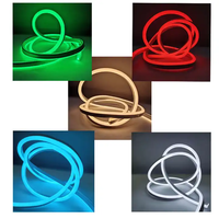 Bande lumineuse LED néon étanche IP67 12V pour extérieur, 6*12mm, 5M/rouleau, pour enseigne lumineuse murale de chambre