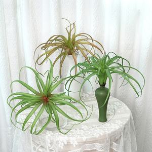 مصنع بيع البلاستيك نبات الهواء الاصطناعي العشب Tillandsia لتزيين الجدران - Product Image 5
