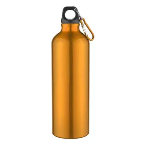 BPA Free 750ML 18/8 Stainless Steel Sport Water Bottle In Classic Style With Carabiner Hook Lid For Drinking