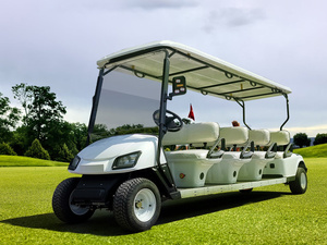 Chariot de golf électrique de buggy de golf d'approvisionnement d'usine 8 sièges chassant le chariot de golf électrique avec le Offre Spéciale - Product Image 4