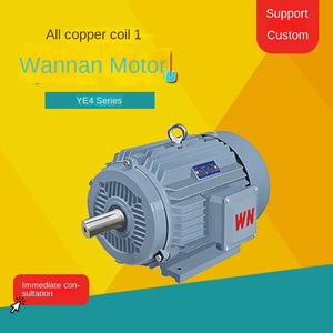 Wannan <span class=keywords><strong>Electric</strong></span> Série YE4 Moteur asynchrone triphasé à très haut rendement | Efficacité IE4 | 380V | 1000r/min - Product Image 1