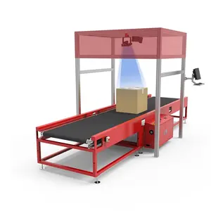 LONG EN Parcel Sorting Machine And Cross Belt Sorting Conveyor Widely Used For Clothes/ Shoes Boxes/ Books Sorting With DWS