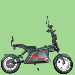 Fashionable Top Speed Outdoor Scooter 1000W Off Road Electric Motorcycle Moped Smart Moto Long For 2023 New Off Road Bike