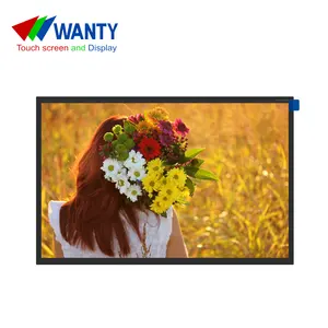 Wanty 10,1 pulgadas HD 1280x800 LVDS Panel IPS Industrial al aire libre pantalla LCD TFT