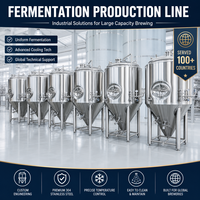 Système de brasserie nano en acier inoxydable Tonsen 200L, mini brasserie 2HL, équipement de brassage à domicile pour pub et restaurant