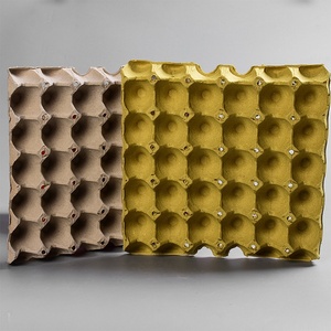 高速废纸回收全自动纸浆模塑蛋托制造机价格优 - Product Image 5