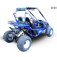 Buggypro usine directe 2 places pleine taille adulte fun kart buggy maître piste GK300XRS AVEC CARBURATEUR ou EFI