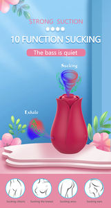 Mainan Seks Usb Dapat Diisi Ulang 10 Frekuensi Silikon Klitoris Mawar Klitoris Klitoris Vibrator Mengisap untuk Wanita - Product Image 3