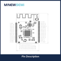 Minewsemi PA LNA NRF52840 Soc Módulo Bluetooth Mesh Económico BLE 5.4 +20dbm PA Inalámbrico ANT Zigbee Thread IoT
