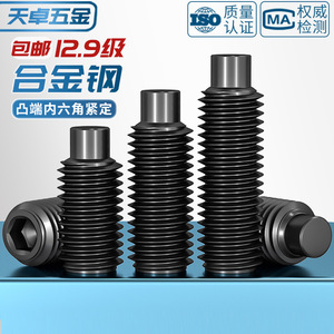 Tianzhuo Hardware M3 M16 Convex End Set Screw 12.9 Grade Hex Socket Head Cap Screw Metric Thread Insert Black Oxide Finish - Product Image 3