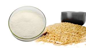 Yüksek saflıkta % 80% doğal bitki türetilmiş yulaf Beta glukan gıda sınıfı bitkisel özü toz halinde adedi 1kg - Product Image 2