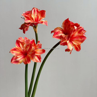 Fleur artificielle réaliste de style chinois C210, Lys de Kaffir fait main, toucher réel, impression 3D, orchidée de haute qualité, Clivia simple
