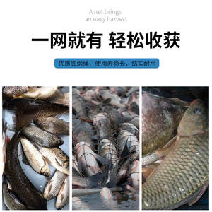 Línea de Pesca Trenzada Yujin Pe de 2.0mm, 60m/70m, Alta Resistencia, Resistente al Desgaste, para Pesca de Fondo - Product Image 4