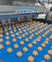 Machines de fabrication multifonctions automatiques pour petites entreprises : machine à biscuits salés, machine à biscuits de riz