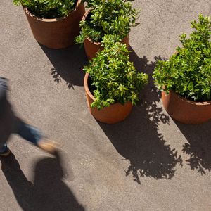 Usine En Gros Grand <span class=keywords><strong>Zinc</strong></span> Métal Pot De Fleur Moules Personnalisé Intérieur Extérieur Décoratif Jardin Galvanisé Seau Grands Jardinières - Product Image 4