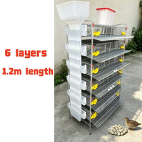 Cage à cailles haute densité de type H, 160 oiseaux par ensemble, matériel d'élevage avicole fiable