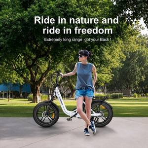 欧盟仓库20英寸可折叠铝合金脂肪自行车36V/13Ah C05专业锂离子电池彩色液晶显示器脂肪轮胎Ebike - Product Image 2