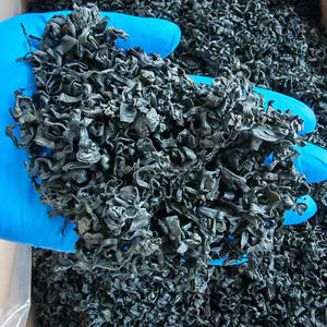 Algues séchées Wakame coupées 10KG/CARTON Origine Fujian - Product Image 2