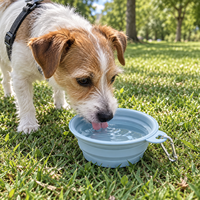 Bol pliable pour chien en TPE, bol portable pour nourriture et eau pour animaux de compagnie avec mousqueton, bol de voyage pliable pour chiens, chats, camping, randonnée