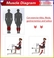 2023 nouvelle conception exercice fonctionnel formateur machine commerciale gym équipement de fitness plaque chargée assis mollet soulever