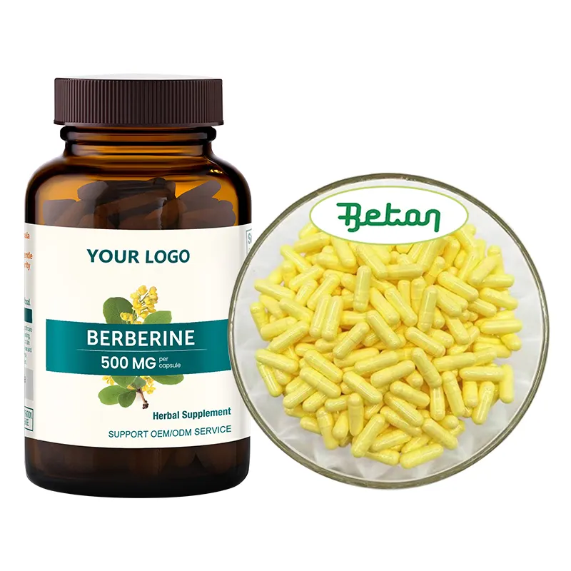 Hot Selling Natural Organic Supplement Berberine 500 Mg  120 Capsules Berberine Supplements Hcl Capsules 1200 Mg