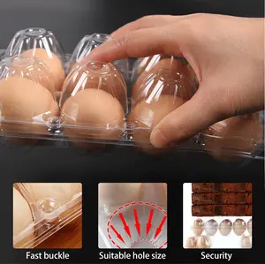 12 Cells Holes Bulk Vaccum Transparent Disposable Egg Tray Pack Box Packaging Suppliers For Sale With Plastic Egg Tray